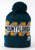 Mount Florida Beanie